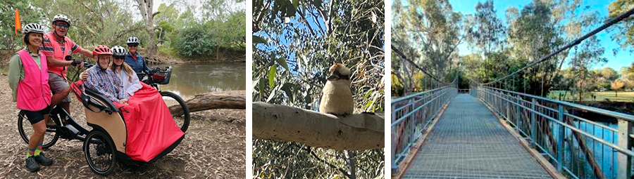 Image of Join us on a Sensing Nature walk along the Bullawah Trail in Wangaratta.