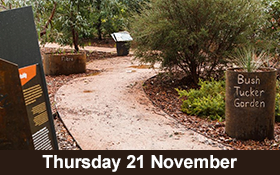 Image of Join us on a Sensing Nature walk along the Bullawah Trail in Wangaratta.